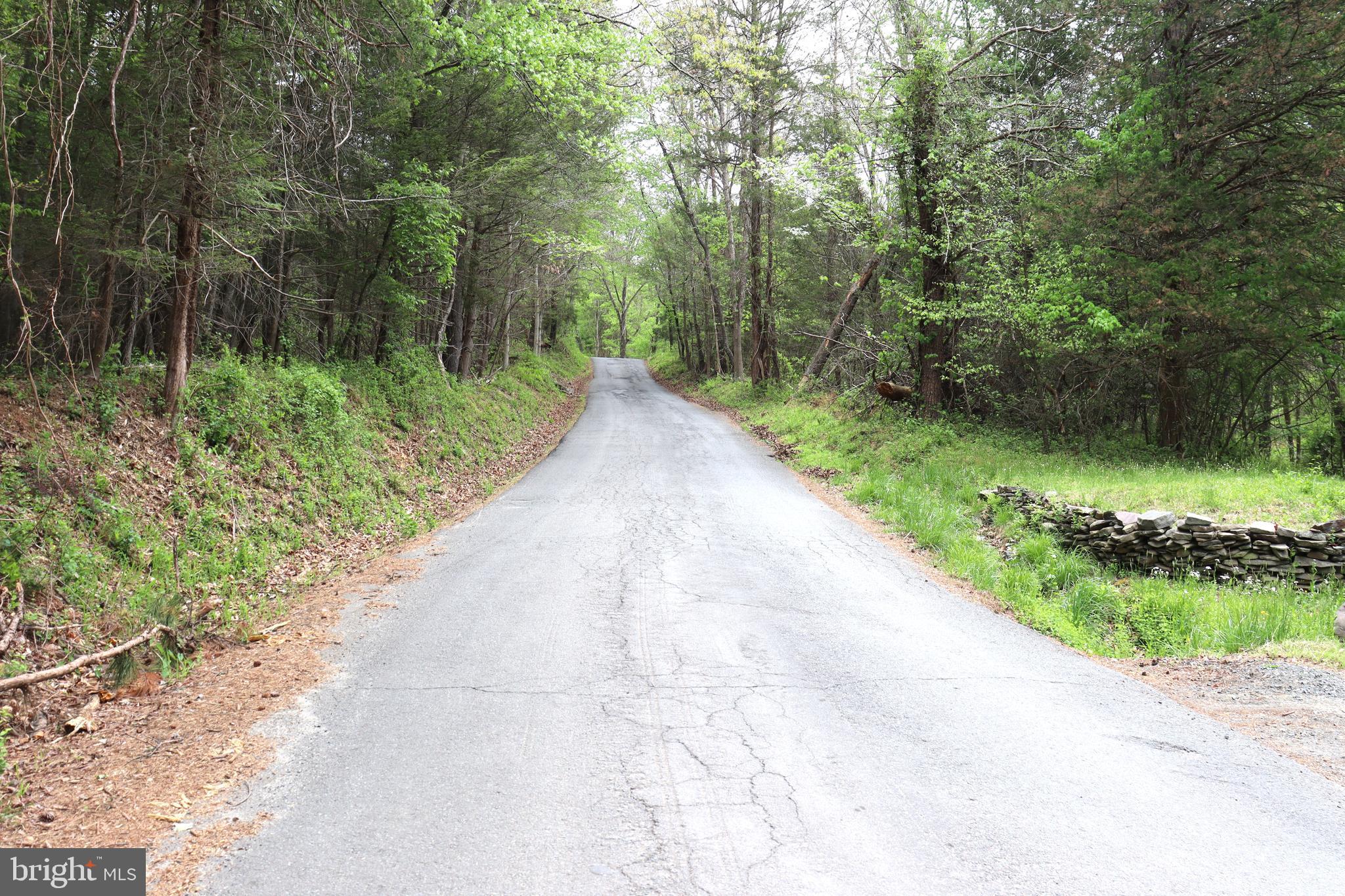 0 Hazel River Road Rixeyville, VA 22737 - Photo 30 of 31 a view of a street with a trees