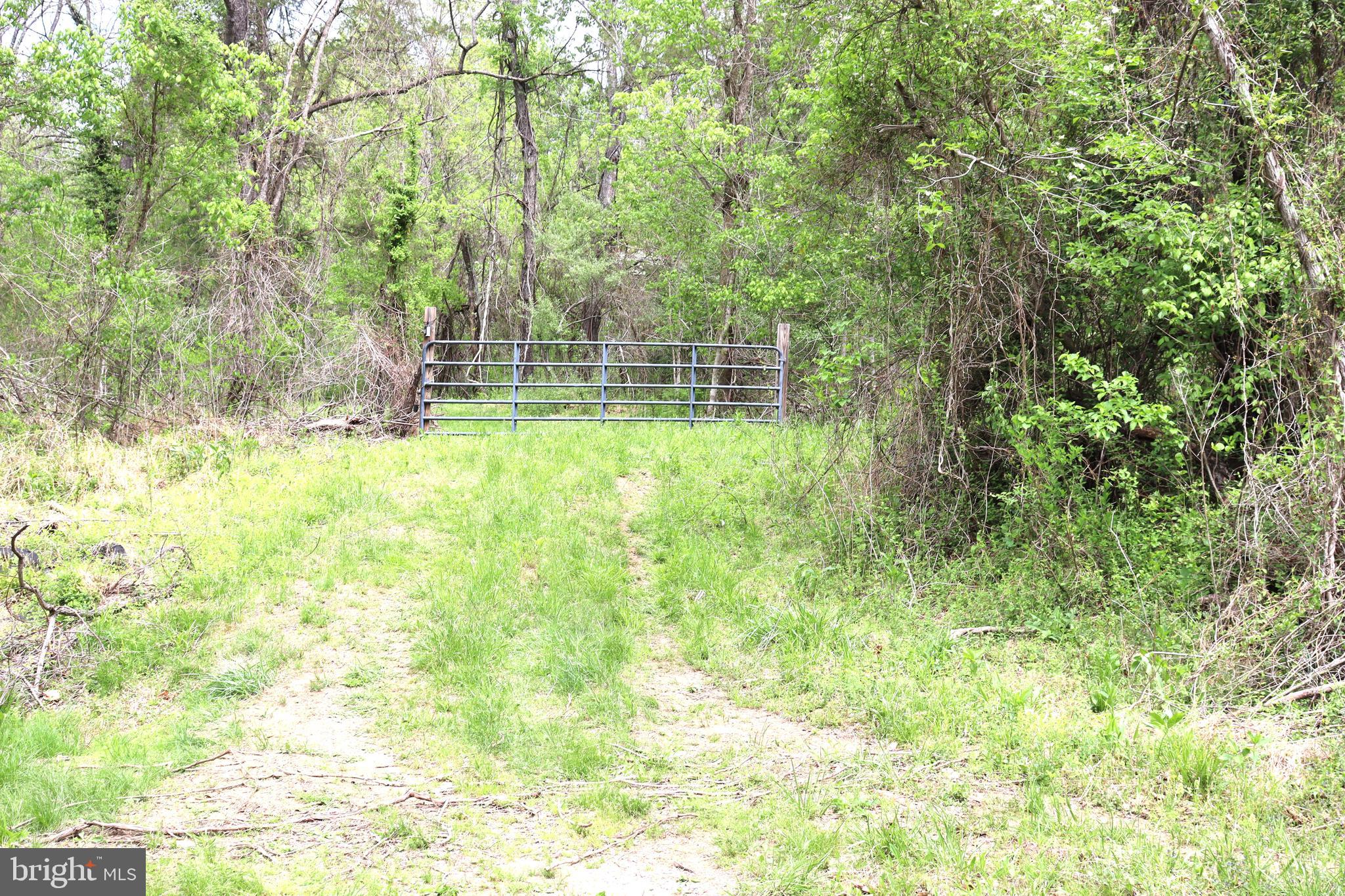 0 Hazel River Road Rixeyville, VA 22737 - Photo 4 of 31 a view of a yard with a trees