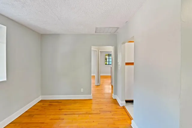a view of a yard with plants and trees
