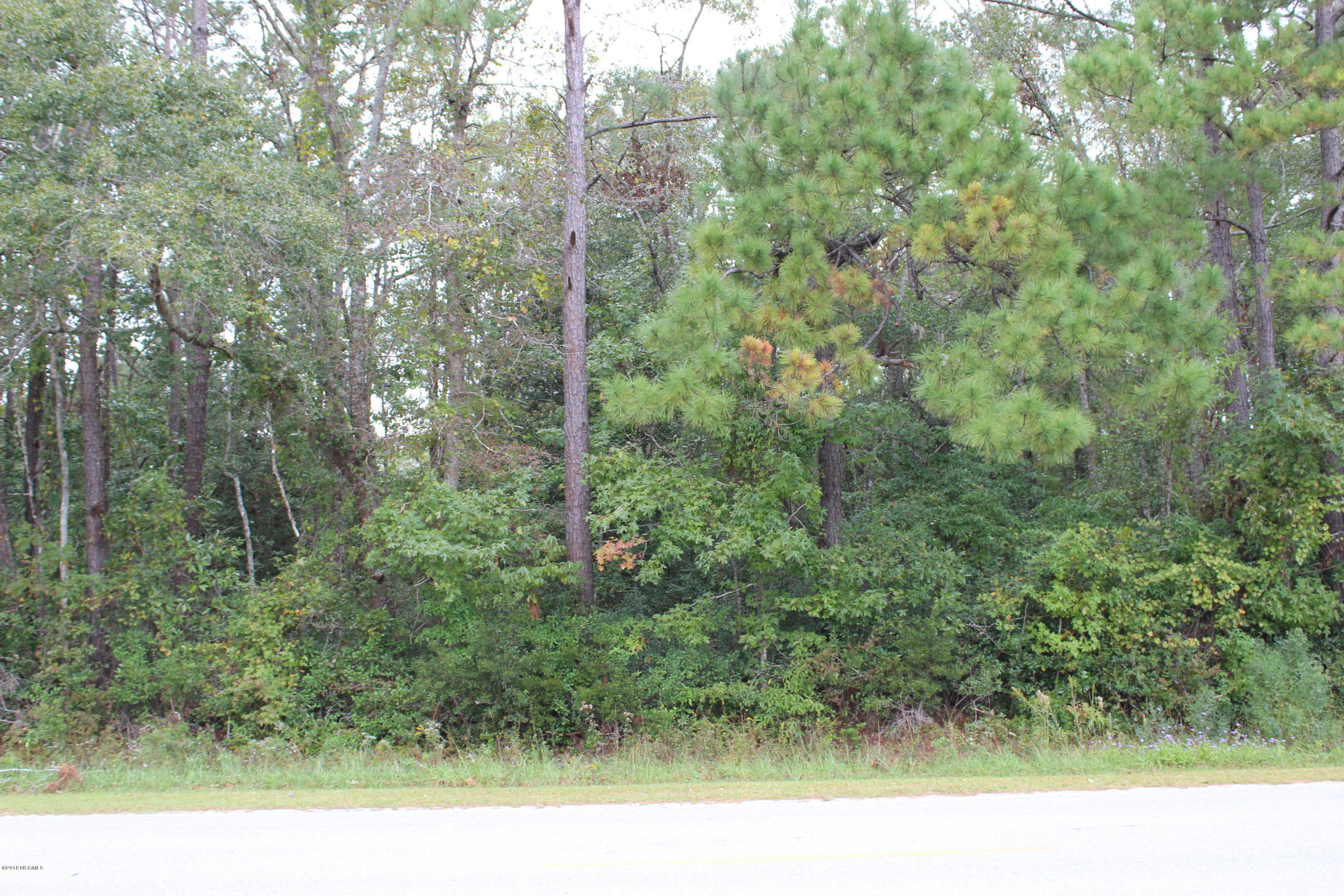 433 Gray Bridge Road Southwest Shallotte, NC 28470 - Photo 3 of 29 018