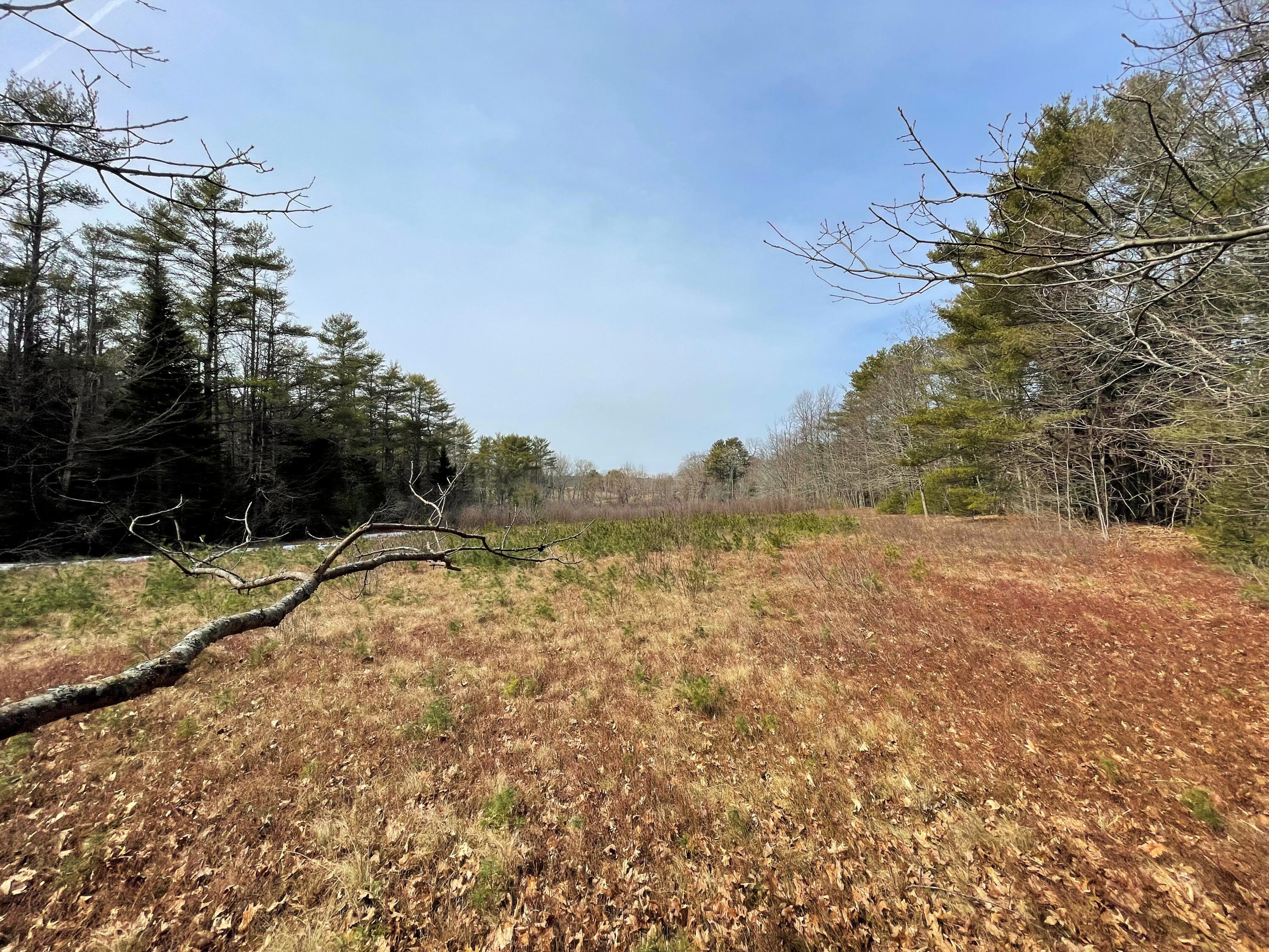 3 Main Road Westport Island, ME 04578 - Photo 11 of 17 IMG_0129
