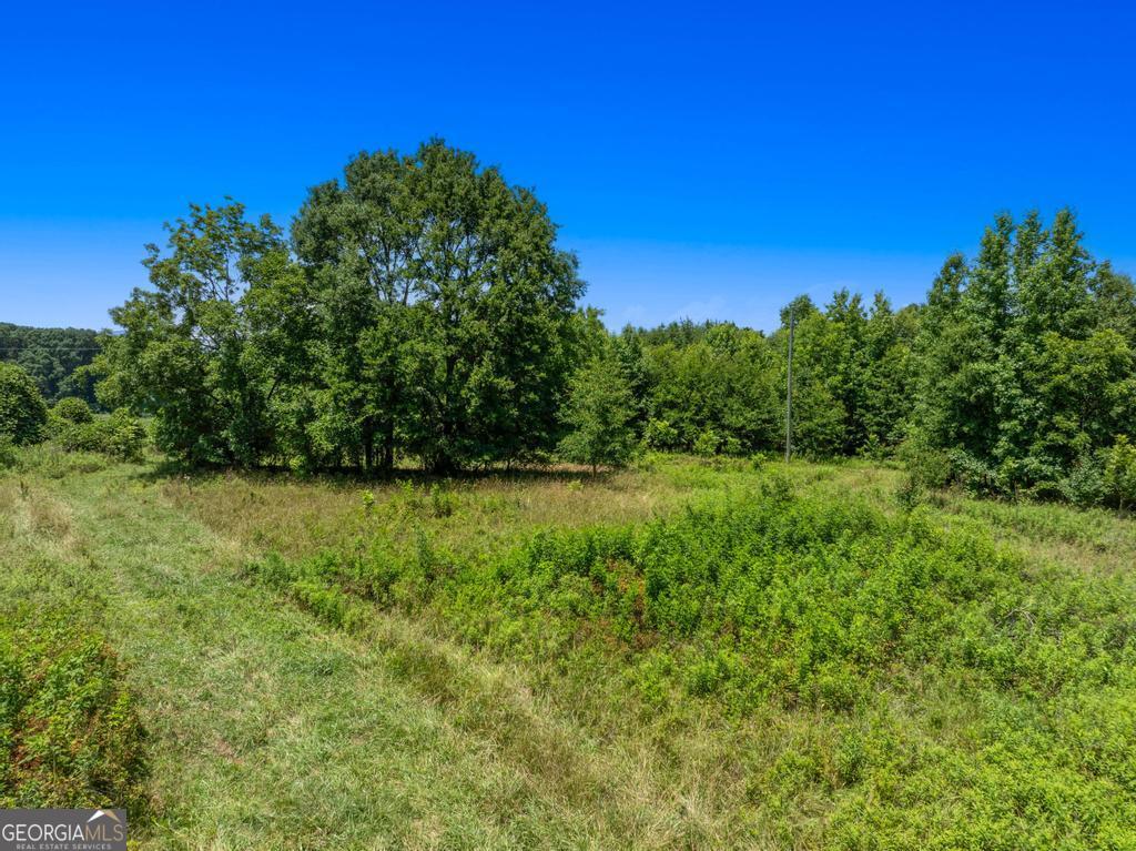 586 Grady School Road Canon, GA 30520 - Photo 45 of 47