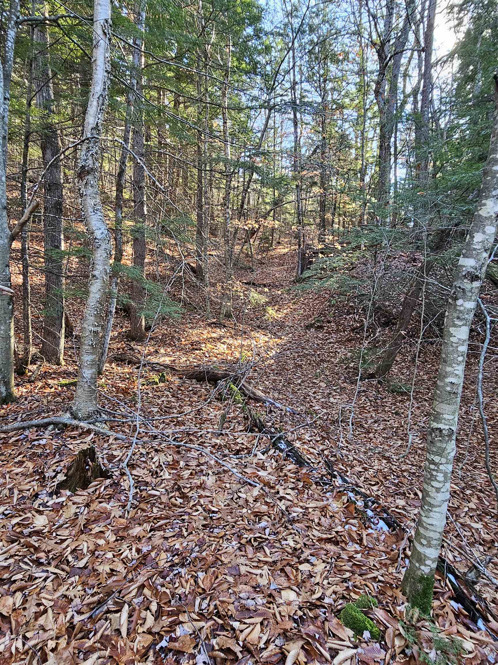 Lot 44.01 Coach Road Bristol, NH 03222 - Photo 3 of 4 Gallery Image 3
