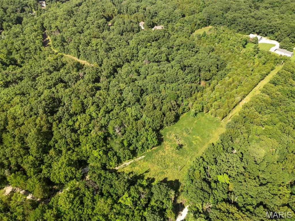 9-acres Timber Ridge Drive Marthasville, MO 63357 - Photo 13 of 22