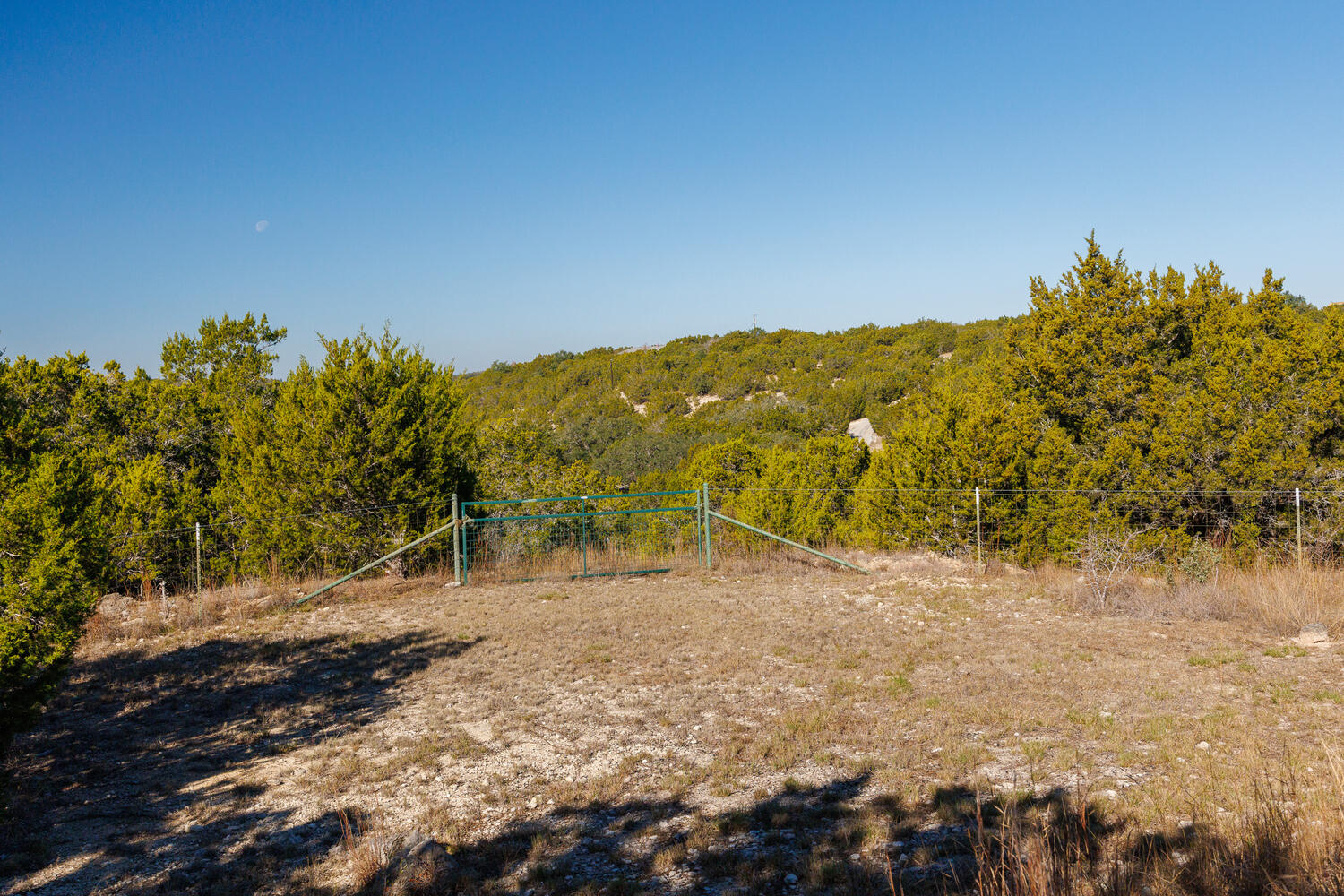 650 Angel Fire Drive Dripping Springs, TX 78620 - Photo 3 of 40 a view of a yard with a tree