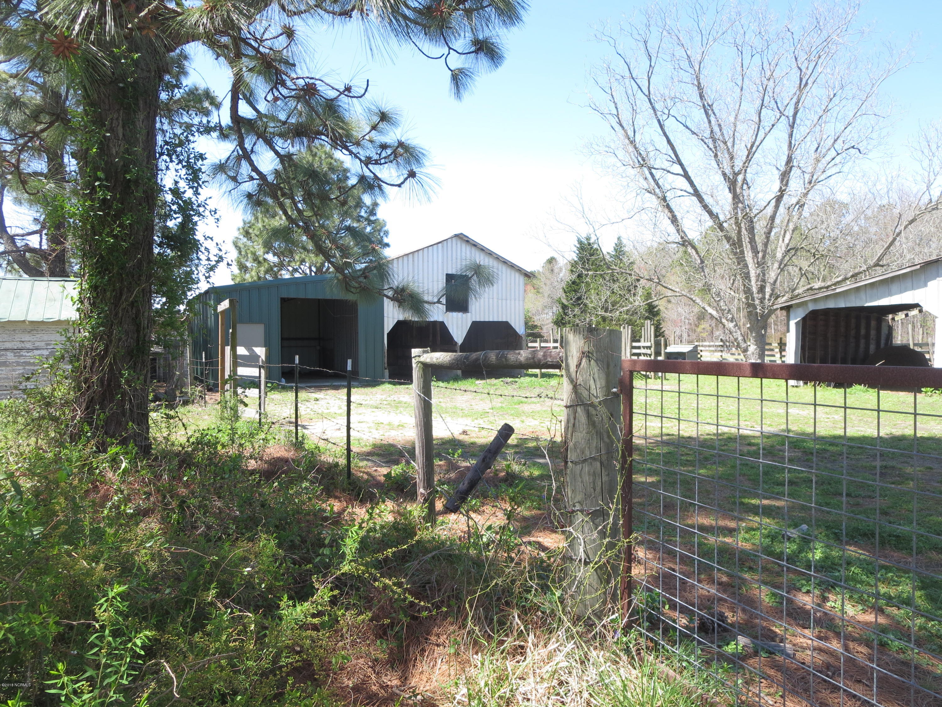 605 Poor Road Scotland Neck, NC 27874 - Photo 22 of 33 IMG_6667