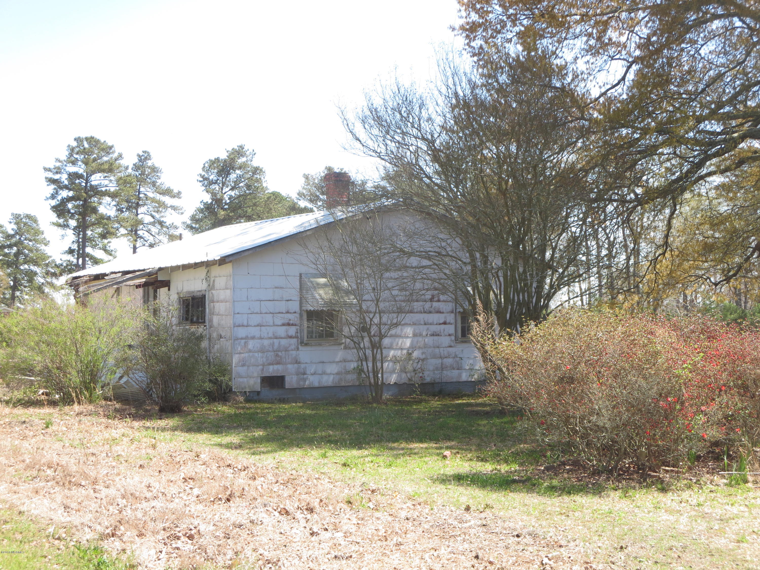 605 Poor Road Scotland Neck, NC 27874 - Photo 24 of 33 IMG_6669