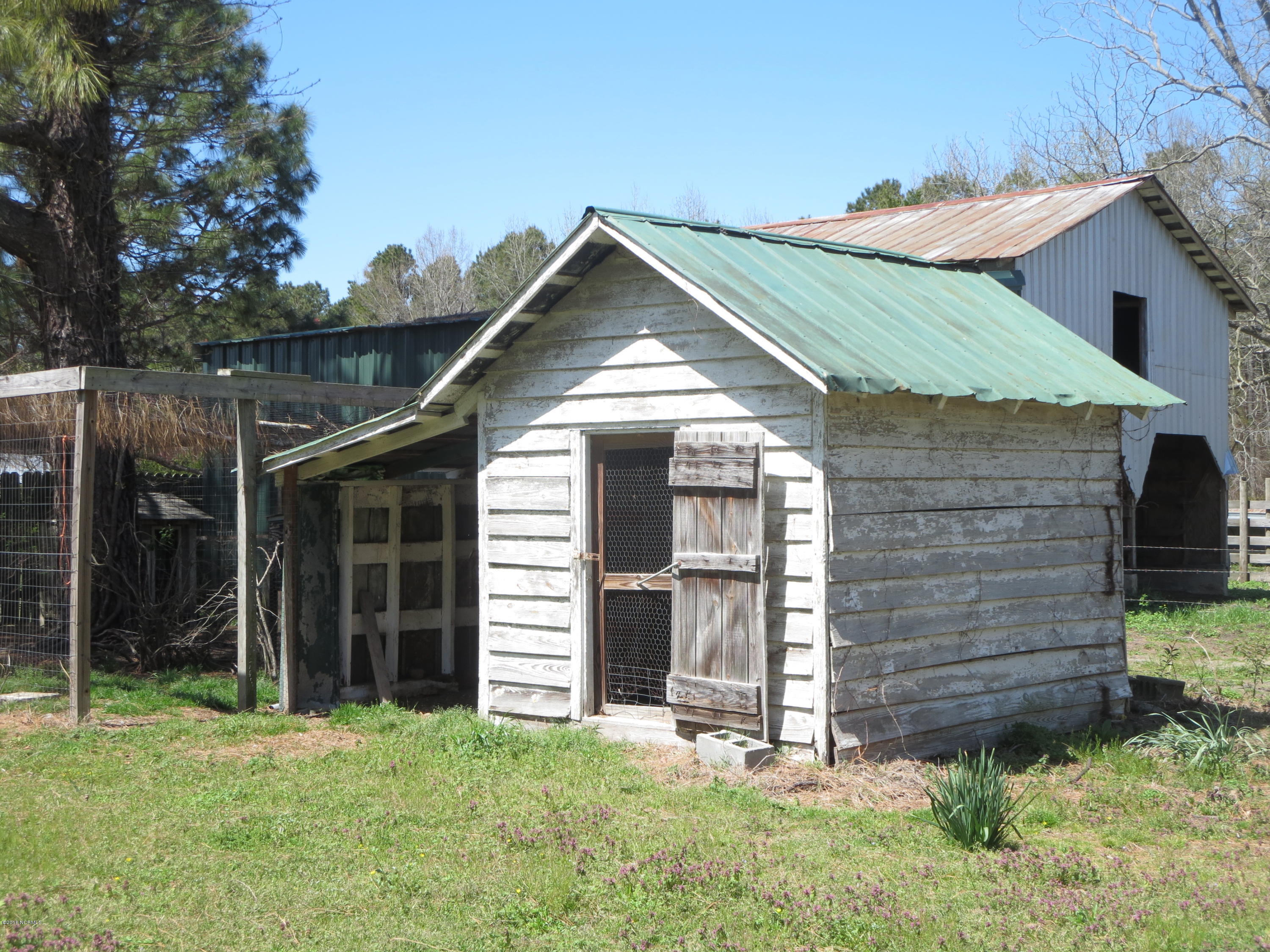 605 Poor Road Scotland Neck, NC 27874 - Photo 25 of 33 IMG_6670