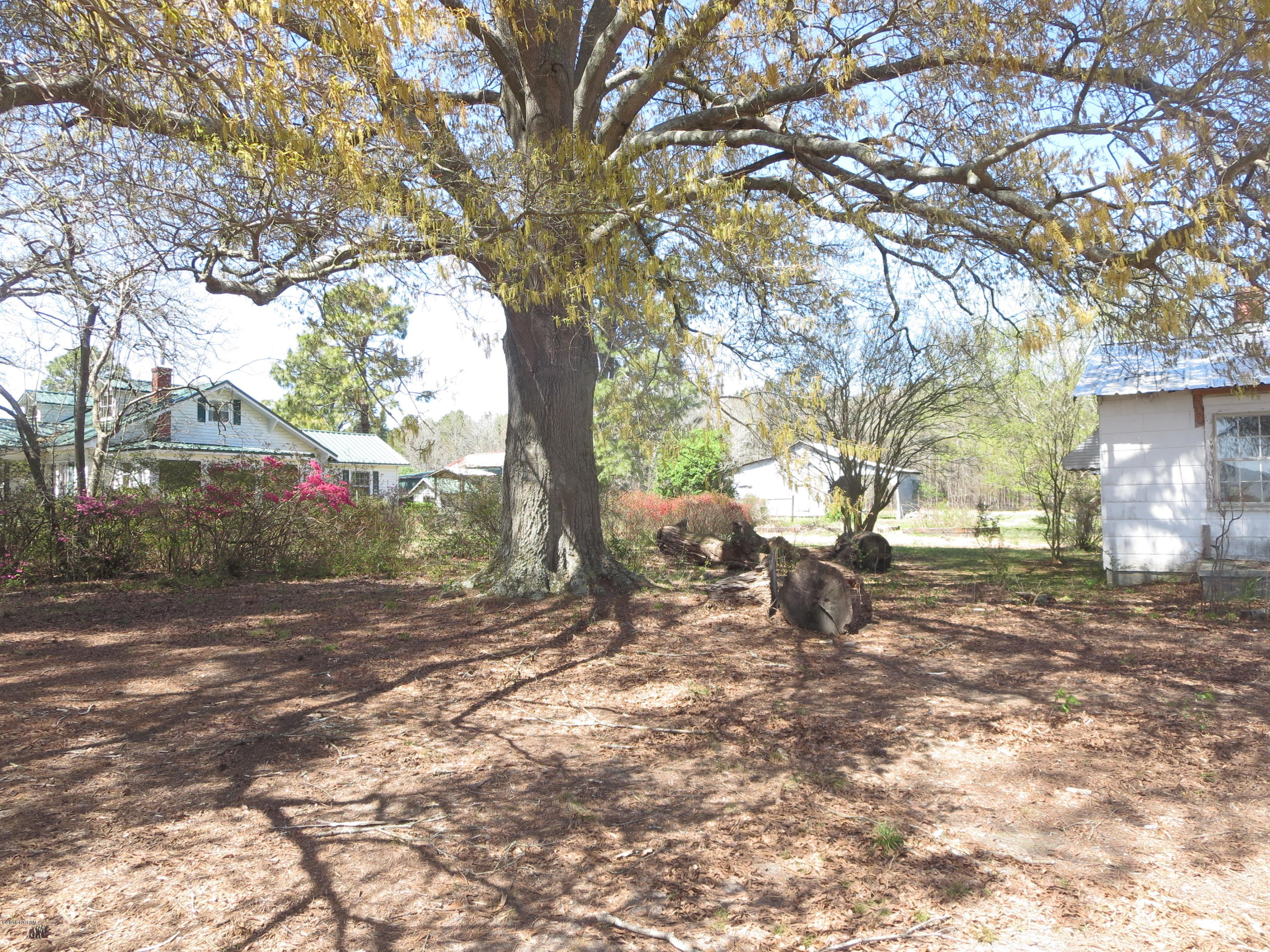 605 Poor Road Scotland Neck, NC 27874 - Photo 29 of 33 IMG_6674