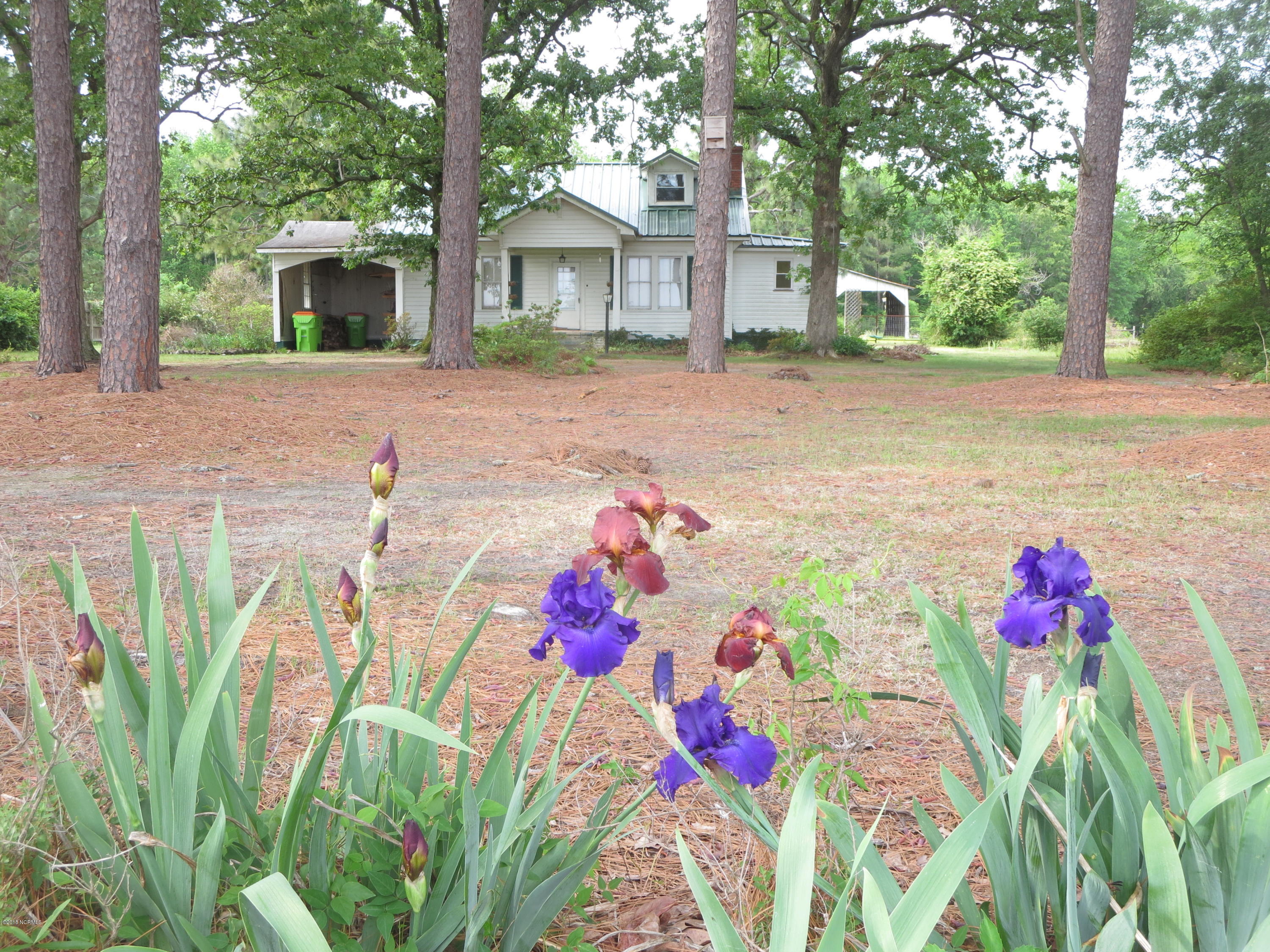 605 Poor Road Scotland Neck, NC 27874 - Photo 30 of 33 IMG_6826