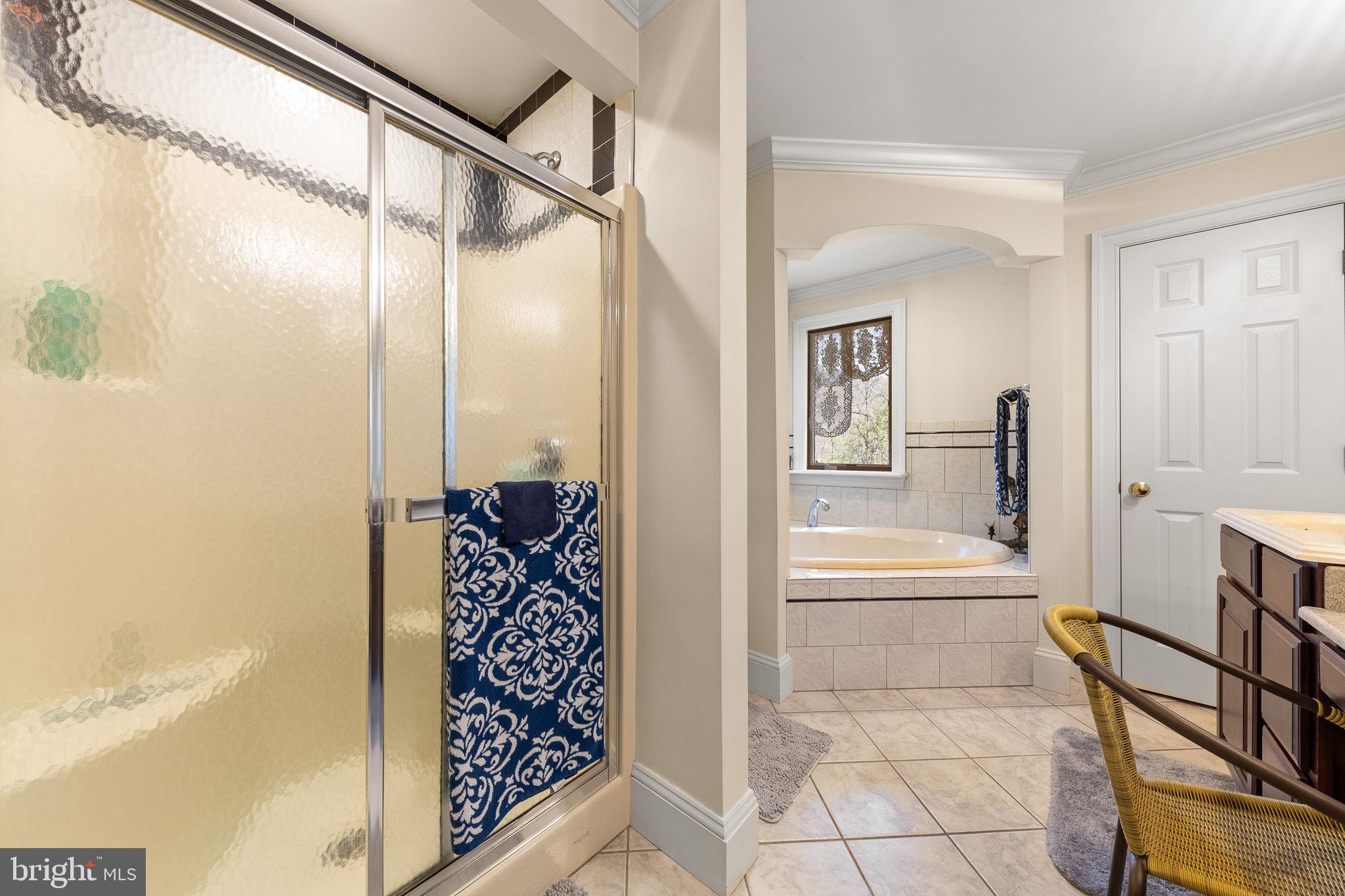 68 Farms Ridge Lane Front Royal, VA 22630 - Photo 35 of 56 Primary bath