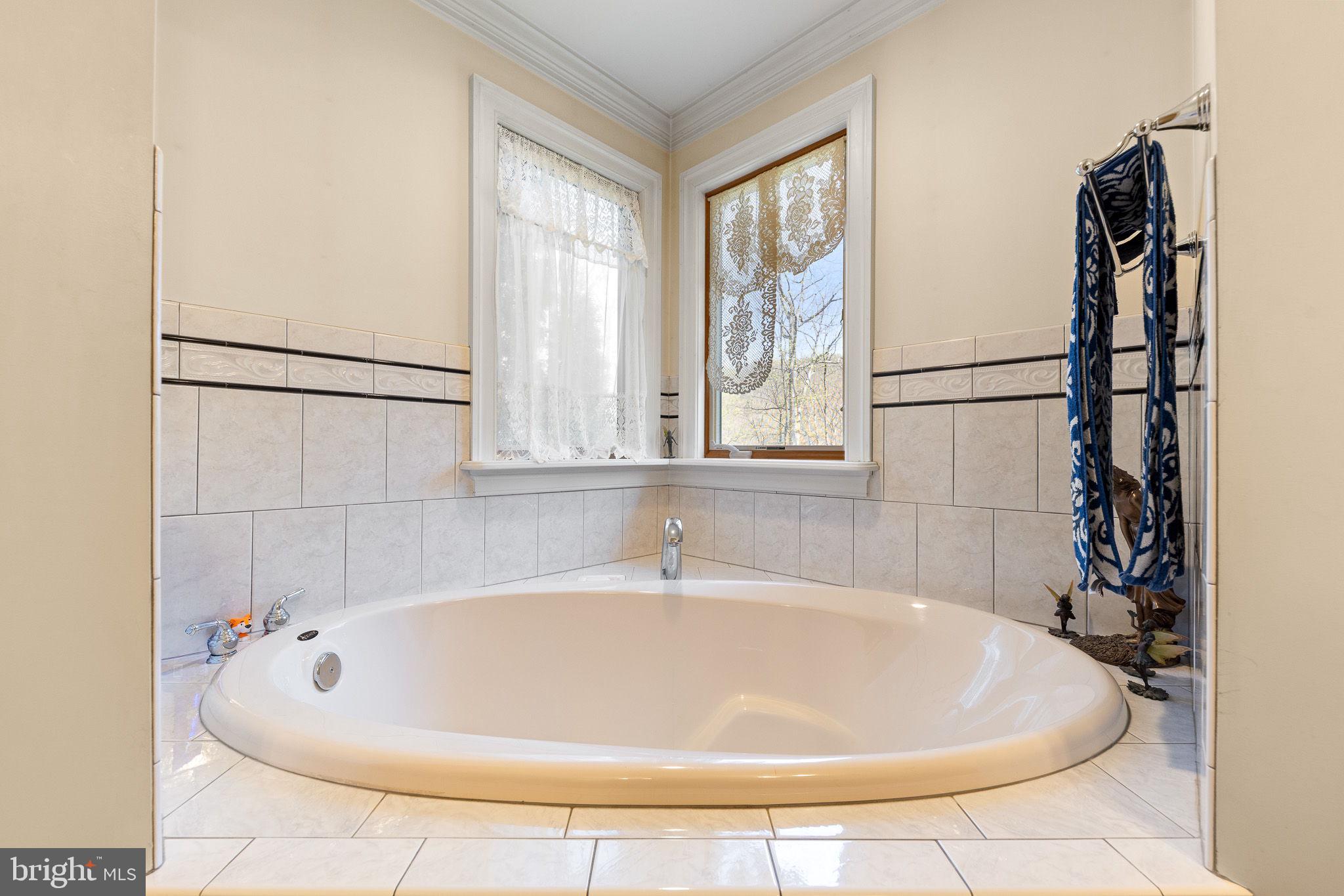 68 Farms Ridge Lane Front Royal, VA 22630 - Photo 36 of 56 Primary bath soaking tub