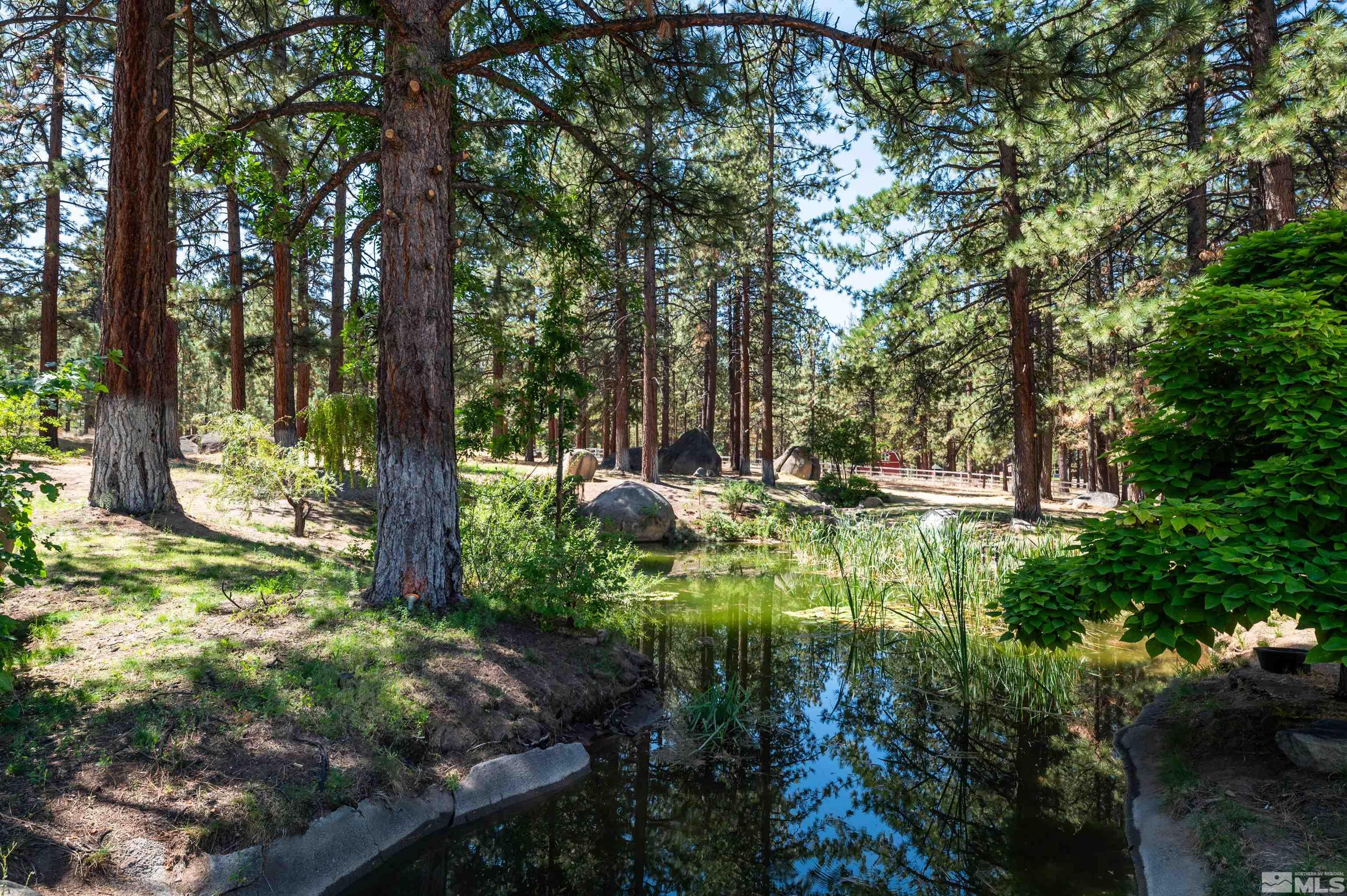 7250 Franktown Road Washoe Valley, NV 89704 - Photo 5 of 40 a view of a garden with large trees