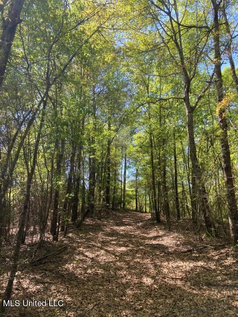 1115 C R Vossburg, MS 39366 - Photo 11 of 31 Photo Apr 04 2023, 11 36 53 AM