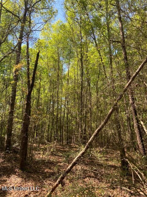 1115 C R Vossburg, MS 39366 - Photo 12 of 31 Photo Apr 04 2023, 11 36 56 AM