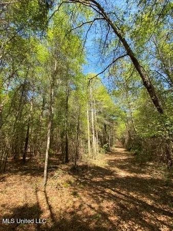 $168,000 | 1115 C R, Vossburg, MS 39366