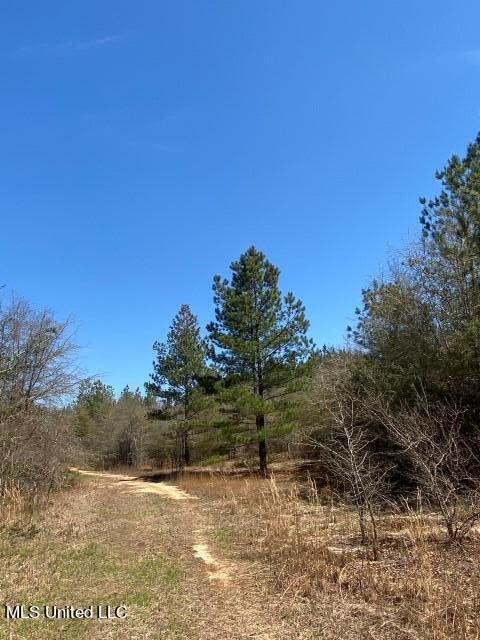 1115 C R Vossburg, MS 39366 - Photo 14 of 31 Photo Apr 04 2023, 11 44 42 AM