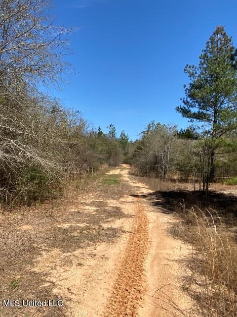 1115 C R Vossburg, MS 39366 - Photo 15 of 31 Photo Apr 04 2023, 11 44 47 AM
