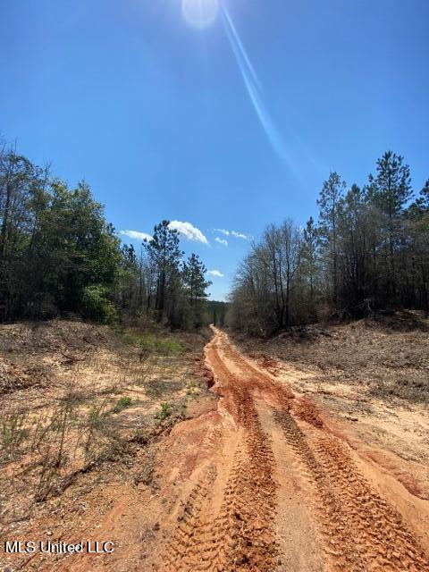 1115 C R Vossburg, MS 39366 - Photo 17 of 31 Photo Apr 14 2023, 11 53 35 AM