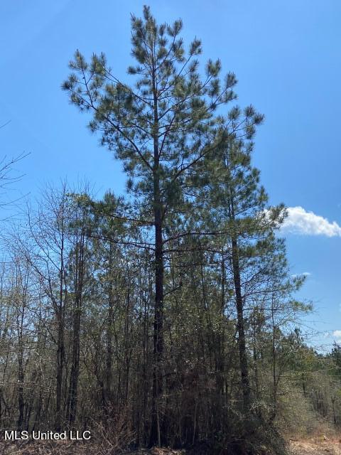 1115 C R Vossburg, MS 39366 - Photo 18 of 31 Photo Apr 14 2023, 11 54 07 AM