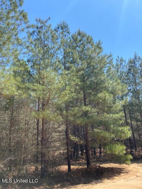 1115 C R Vossburg, MS 39366 - Photo 19 of 31 Photo Apr 14 2023, 11 56 05 AM