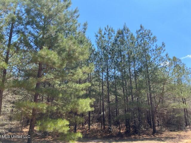 1115 C R Vossburg, MS 39366 - Photo 20 of 31 Photo Apr 14 2023, 11 56 12 AM