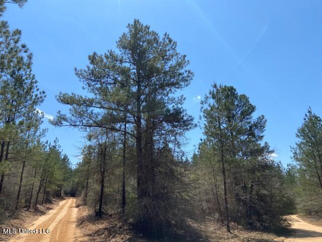 1115 C R Vossburg, MS 39366 - Photo 21 of 31 Photo Apr 14 2023, 11 56 24 AM