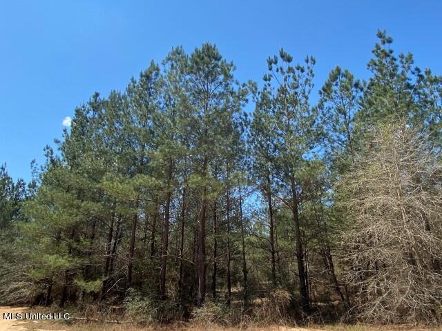 1115 C R Vossburg, MS 39366 - Photo 22 of 31 Photo Apr 14 2023, 11 56 33 AM