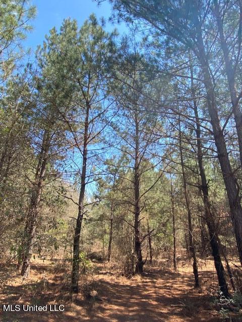 1115 C R Vossburg, MS 39366 - Photo 23 of 31 Photo Apr 14 2023, 11 56 43 AM