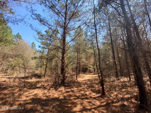 1115 C R Vossburg, MS 39366 - Photo 24 of 31 Photo Apr 14 2023, 11 57 01 AM