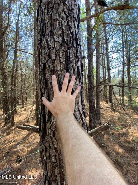 1115 C R Vossburg, MS 39366 - Photo 25 of 31 Photo Apr 14 2023, 11 57 15 AM