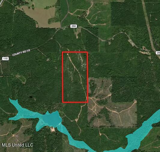 1115 C R Vossburg, MS 39366 - Photo 27 of 31 flood map