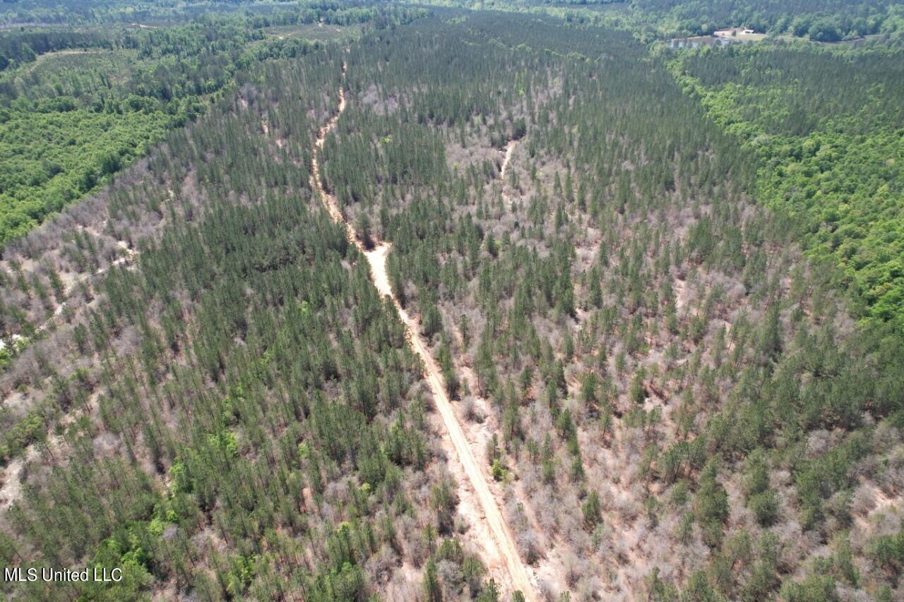 1115 C R Vossburg, MS 39366 - Photo 29 of 31 drone 1