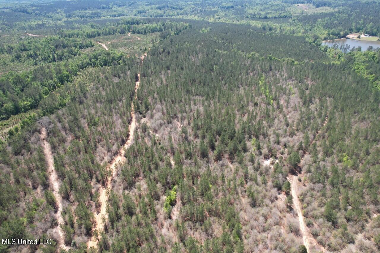 1115 C R Vossburg, MS 39366 - Photo 30 of 31 drone 2