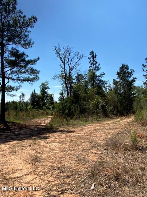 1115 C R Vossburg, MS 39366 - Photo 3 of 31 Photo Apr 04 2023, 11 27 46 AM