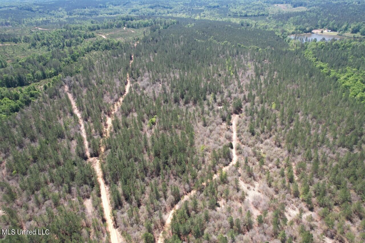 1115 C R Vossburg, MS 39366 - Photo 31 of 31 drone 3