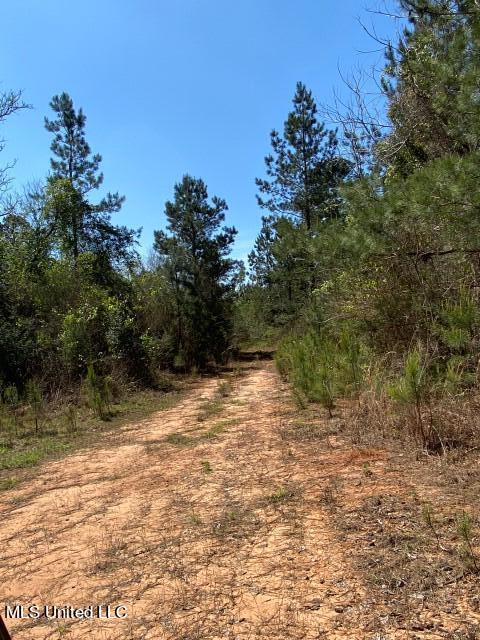 1115 C R Vossburg, MS 39366 - Photo 4 of 31 Photo Apr 04 2023, 11 28 10 AM