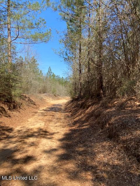 1115 C R Vossburg, MS 39366 - Photo 5 of 31 Photo Apr 04 2023, 11 29 35 AM