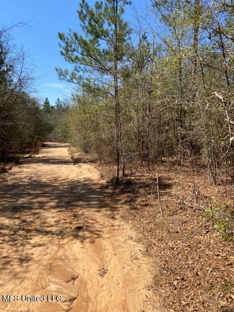 1115 C R Vossburg, MS 39366 - Photo 6 of 31 Photo Apr 04 2023, 11 30 52 AM