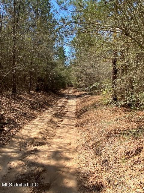 1115 C R Vossburg, MS 39366 - Photo 7 of 31 Photo Apr 04 2023, 11 31 42 AM