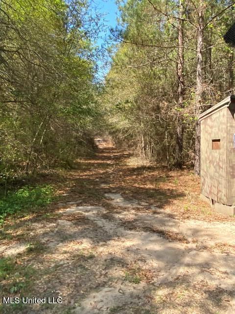 1115 C R Vossburg, MS 39366 - Photo 8 of 31 Photo Apr 04 2023, 11 33 04 AM