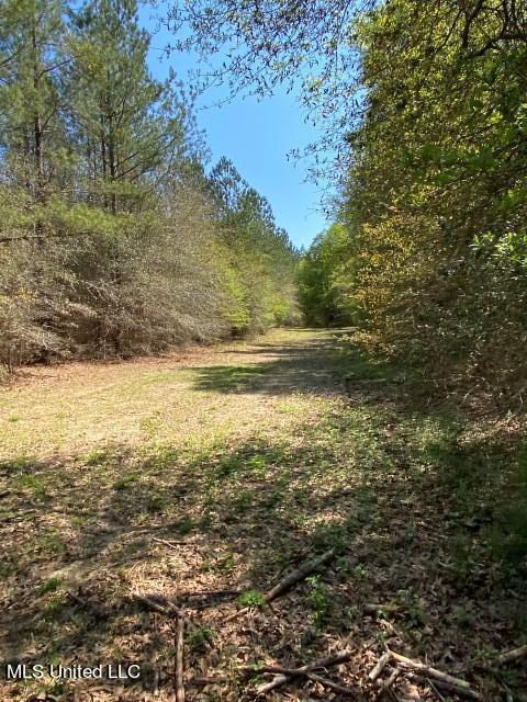 1115 C R Vossburg, MS 39366 - Photo 9 of 31 Photo Apr 04 2023, 11 33 11 AM
