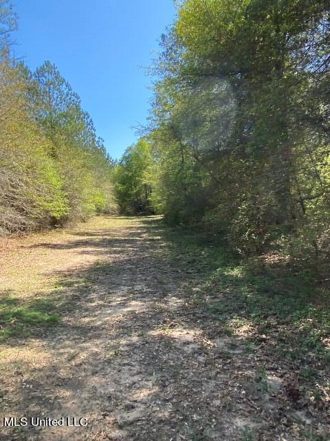 1115 C R Vossburg, MS 39366 - Photo 10 of 31 Photo Apr 04 2023, 11 33 16 AM