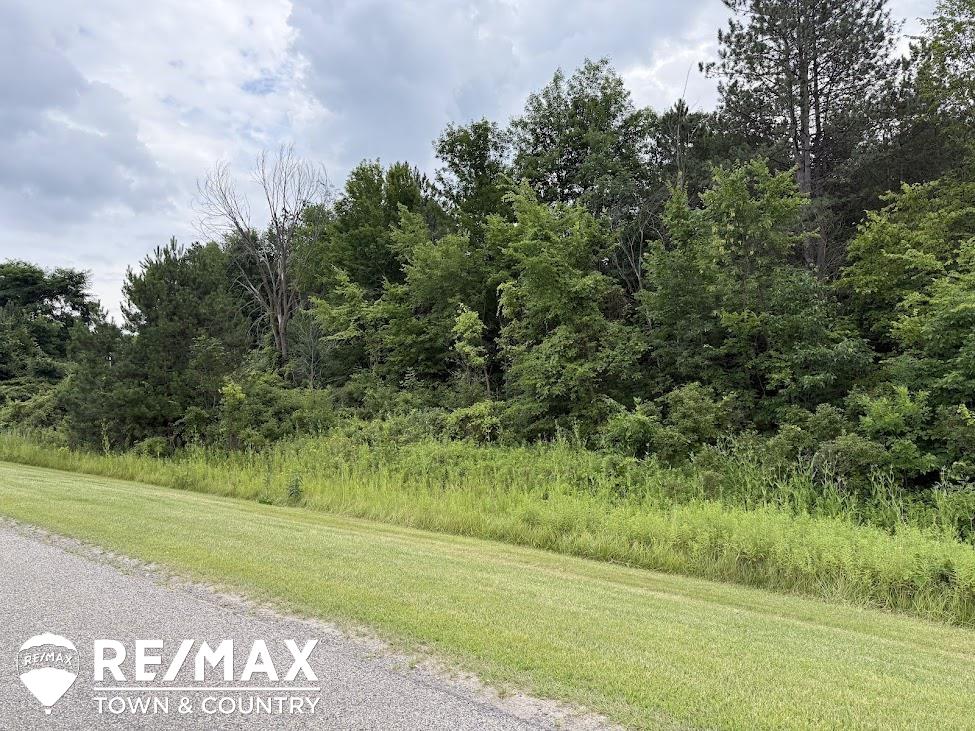 13496 North Lewis Road Clio, MI 48420 - Photo 49 of 53
