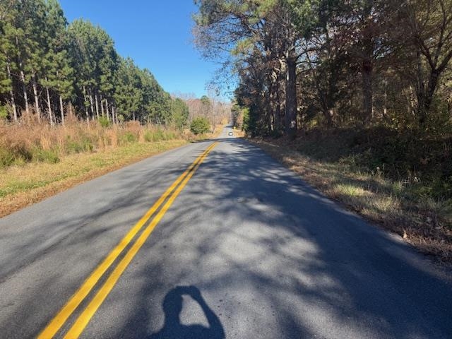 2640 Bellview Church Road Laurens, SC 29360 - Photo 5 of 7