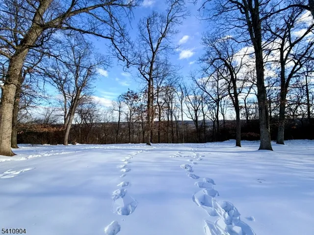 $1,595,000 | 81 Huron Drive, Chatham, NJ 07928