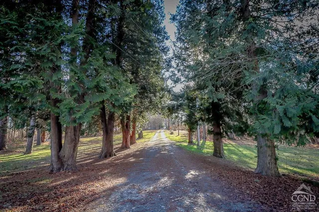a view of a yard with a tree