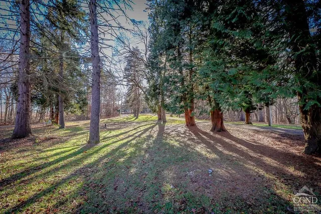 a view of a yard with tree s