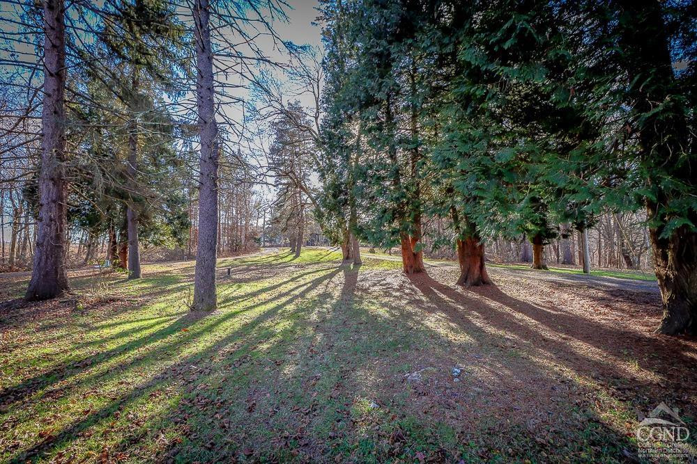 101 Orinsekwa Road Valatie, NY 12184 - Photo 16 of 23 a view of a yard with tree s