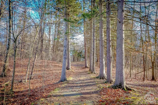 a view of a entrance gate of the house